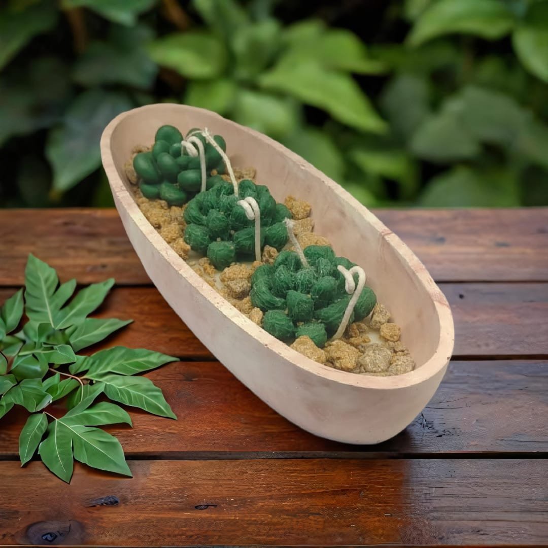 Boat Shaped Succulent Candle