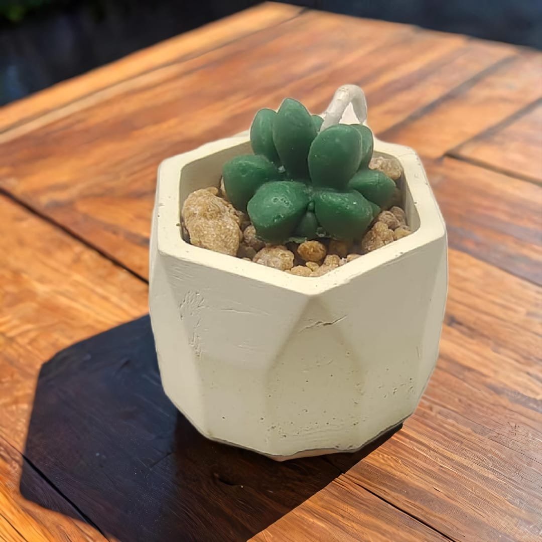 Hexagonal Small Succulent Holder Candle