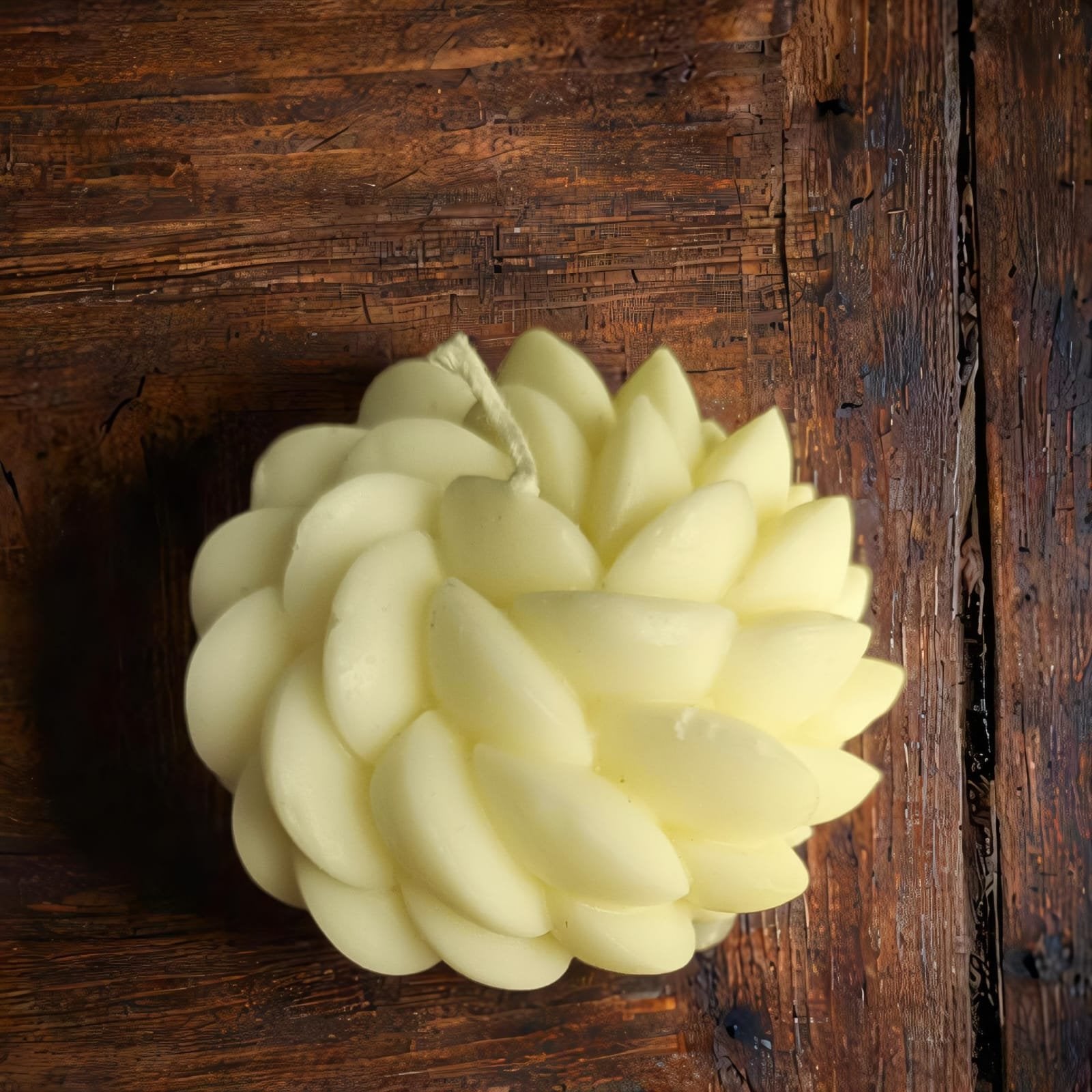 White Succulent Candle