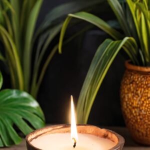 Coconut Shell